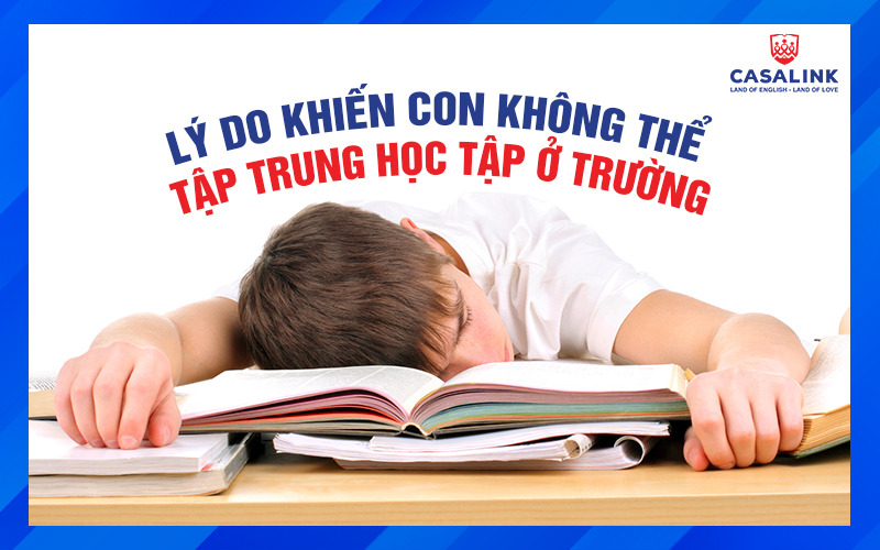 10 LÝ DO KHIẾN CON KHÔNG THỂ TẬP TRUNG HỌC TẬP Ở TRƯỜNG - Casalink