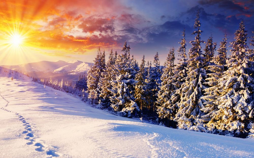 Từ vựng về mùa đông 